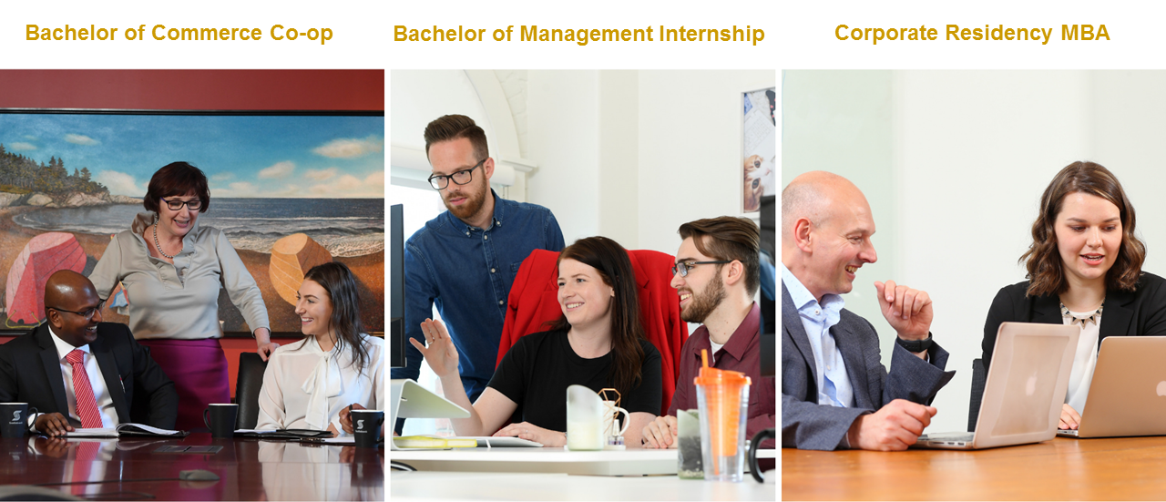 Co‑op and Internship Programs Management Career Services Dalhousie